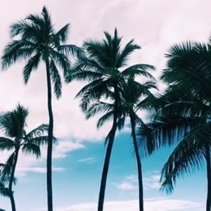 Meet your Posher, Kaitlyn